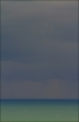 Clearing, summer 2011