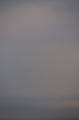 March morning, overcast