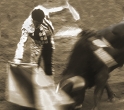 Bullfight, 1996