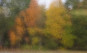 Fall colors from a train, 2012