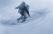 Falling skater, 2013