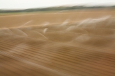 Sprinklers, California, 2003