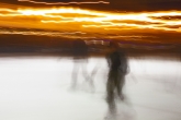 Skaters, version 3, 2015
